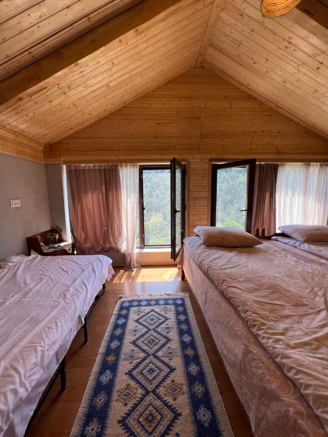 Mitarbi Silence - Cozy Holiday Cottages In Mountains Borjomi Exterior foto