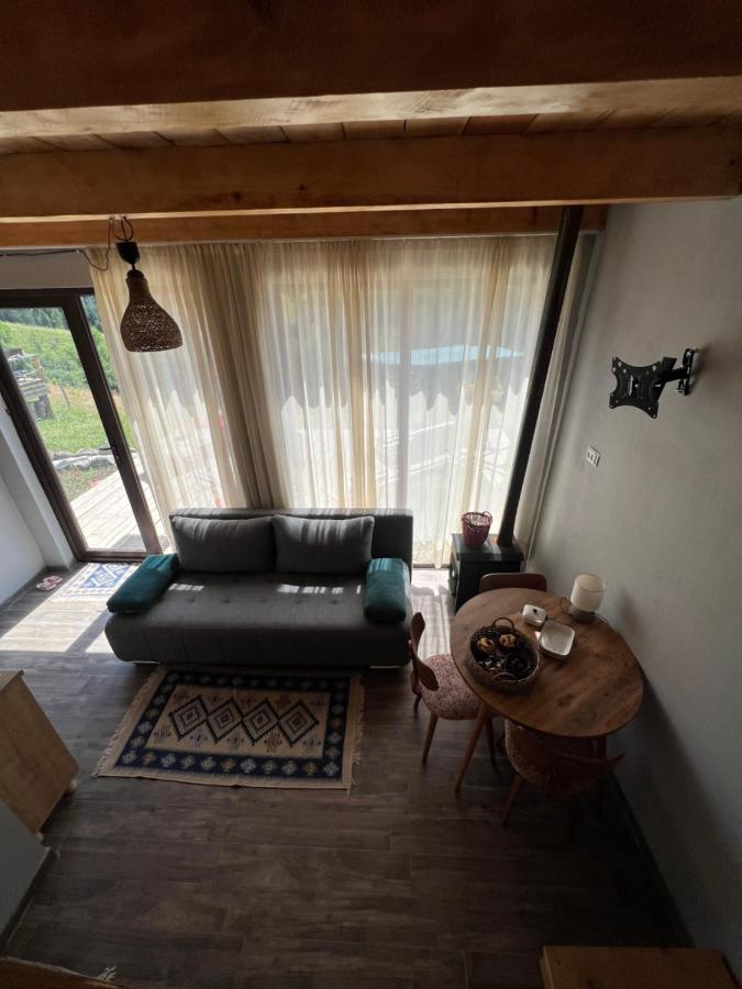 Mitarbi Silence - Cozy Holiday Cottages In Mountains Borjomi Exterior foto