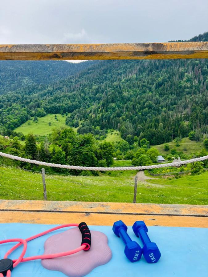 Mitarbi Silence - Cozy Holiday Cottages In Mountains Borjomi Exterior foto